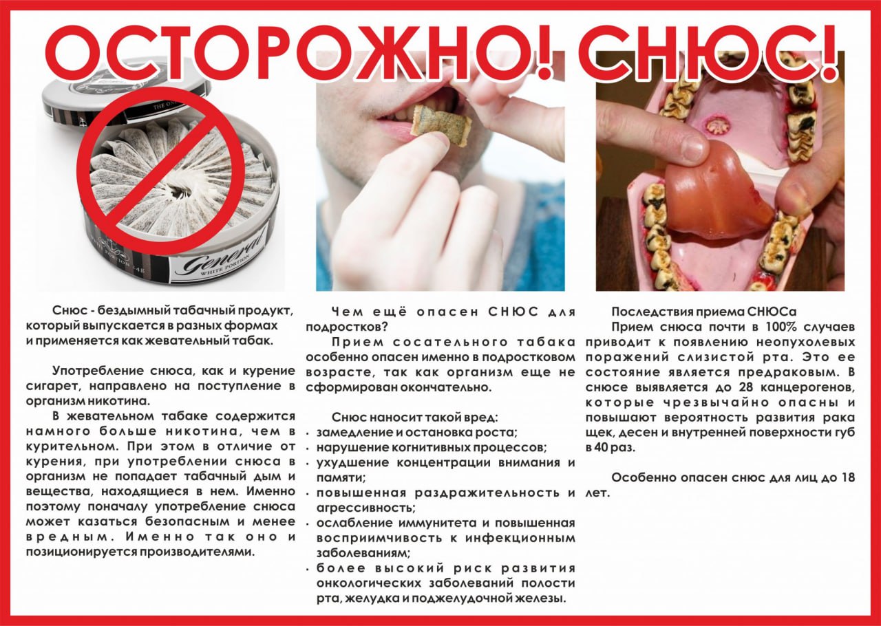 Осторожно: снюс!.