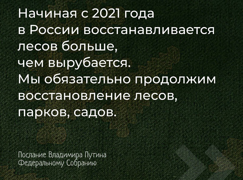 Президент Путин в поддержку сохранения лесов.